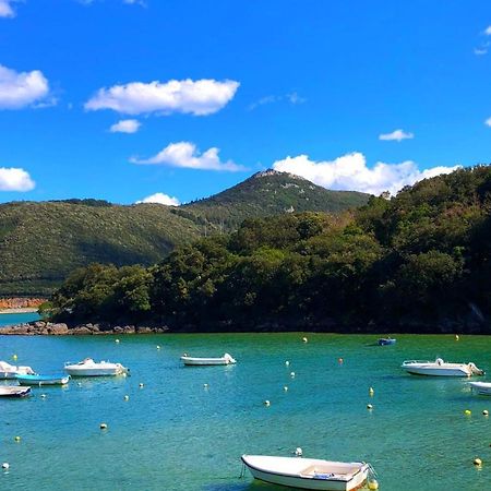 SukarrietaSokaire De Urdaibai Junto A Mundakaアパートメント エクステリア 写真